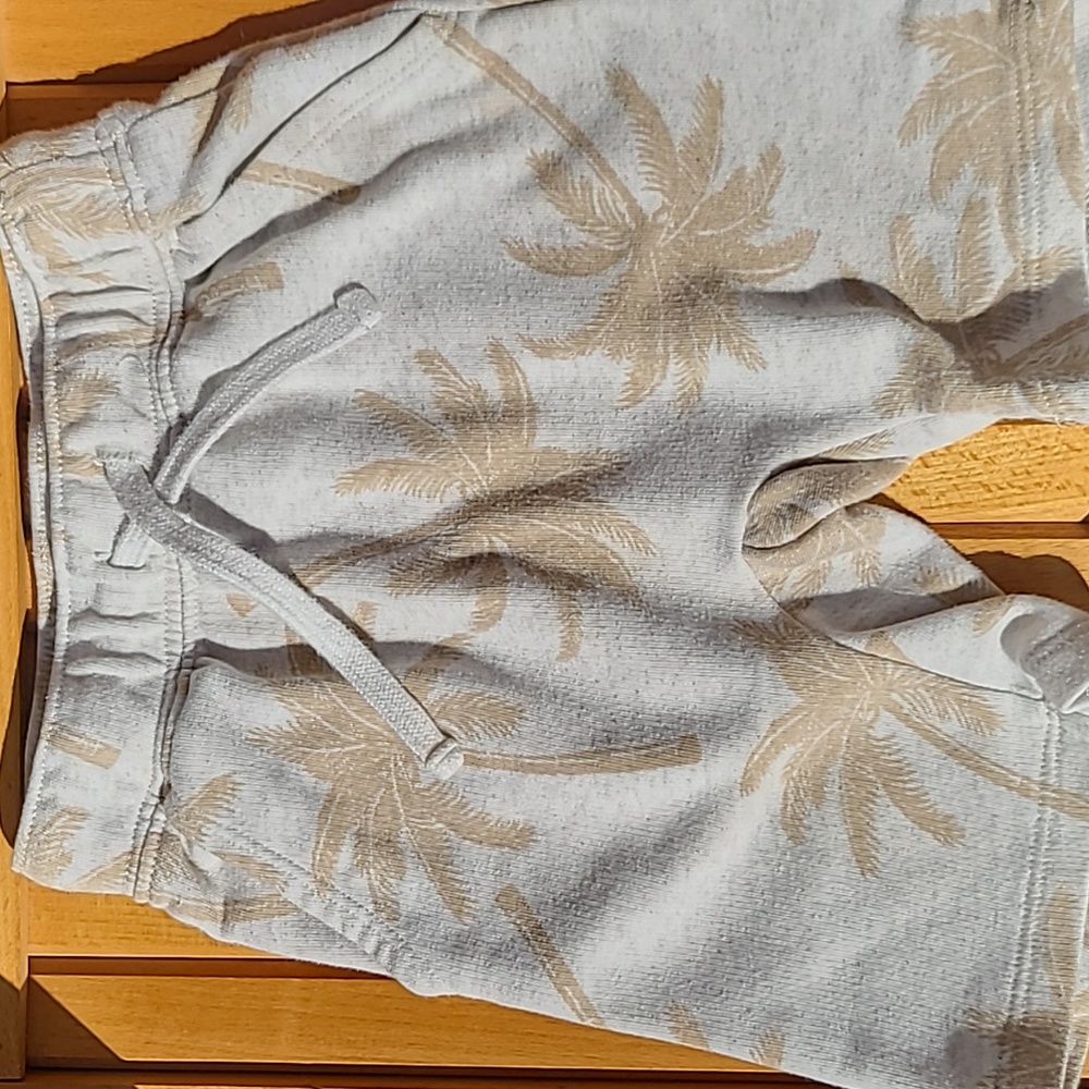 Old Navy Shorts 4T Palm Trees